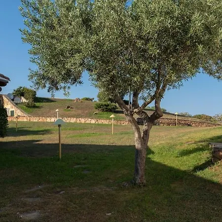 200m Dal Mare Giardino Piscina Lejlighed Tanaunella